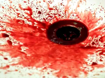 Elle découpe son amant en morceaux, cache son pénis et dit à la police "amuse-toi bien".