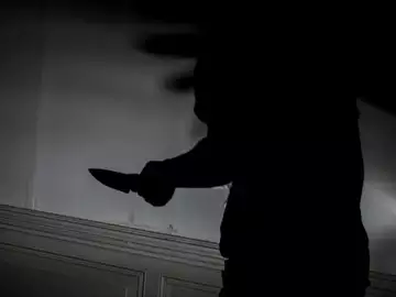 Un couple poignardé à Épinal, quatre de leurs sept enfants étaient présents au moment des faits