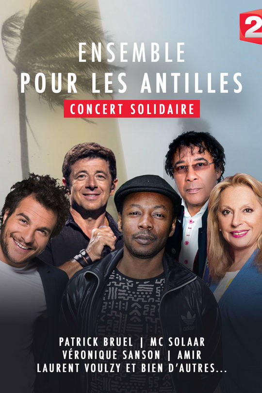Laurent Voulzy Patrick Bruel Alain Souchon