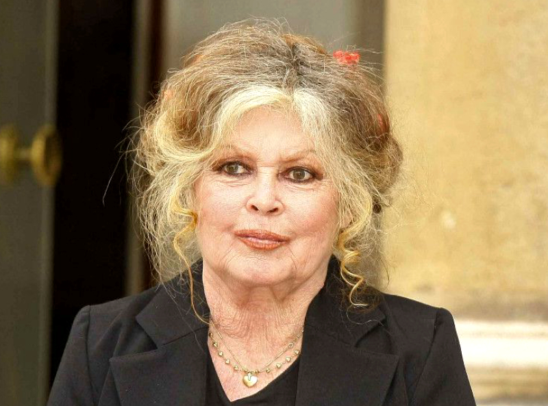 Brigitte Bardot condamnée pour insultes racistes : Sa lourde amende est enfin connue !
