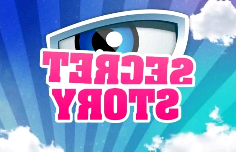 Secret Story : Cette ancienne candidate est enceinte de son premier enfant