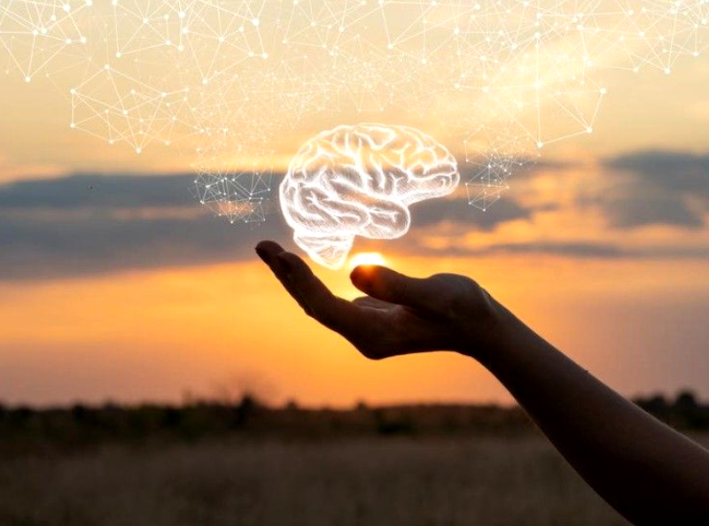Selon une étude, c'est le signe du zodiaque le plus intelligent !