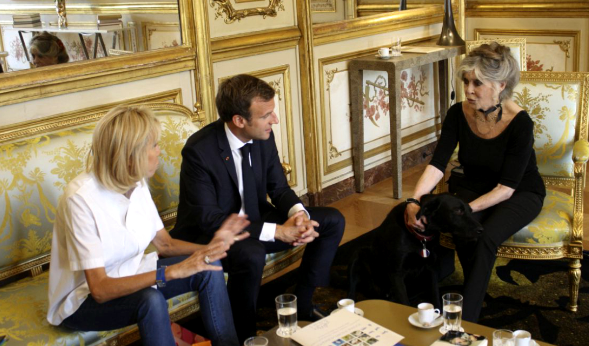 Brigitte Bardot coupée du contact avec ses ex-petits amis Jean-Louis Trintignant et Sami Frey : elle explique
