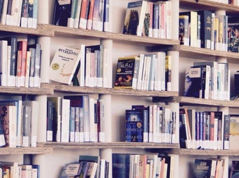 Ikea : Grâce à cette astuce improbable, vous pouvez composer l'étagère de vos rêves pour moins de 50 euros avec la bibliographie la plus vendue d'Ikea !