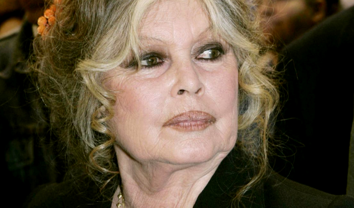 "Brigitte Bardot, c'est ma copine" assure Eric Zemmour : elle lui dit les 4 vérités...