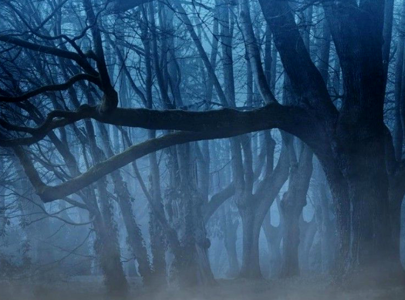 Après un cambriolage, un père et son fils laissent le voleur nu et les mains liées au milieu de la forêt.